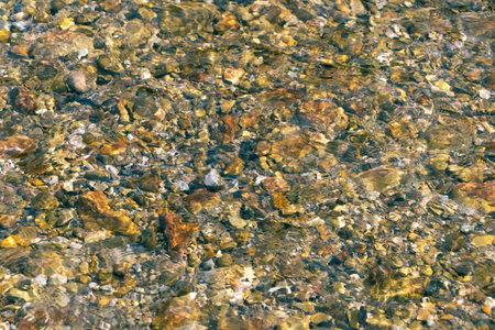 Clean transparent water in a mountain river. Pebbles at the bottom of the river. Natural background.