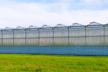 Greenhouse under a blue sky. Cultivation of plant crops. glasshouse, hothouse.の写真素材