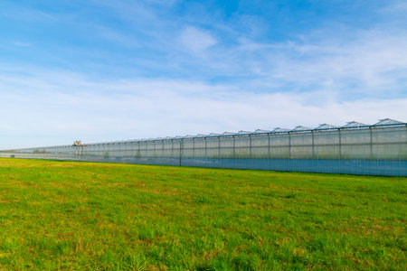 Greenhouse under a blue sky. Cultivation of plant crops. glasshouse, hothouse.の写真素材