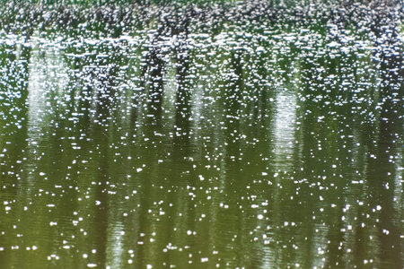 Poplar fluff falls on the water. Allergy season. Natural background.