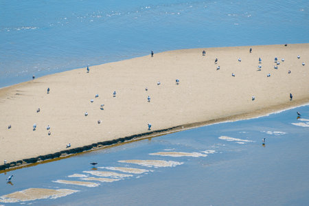 Birds sit on a sandbank in the middle of the water. Beautiful landscape.の写真素材