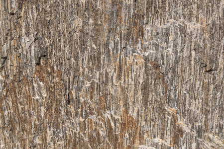 A close-up texture of a layered, weathered rock formation with varying shades of gray. Backgrounds...