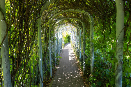 Warsaw University Library Rooftop Gardens. Plants climb up the arch. Summer.の写真素材