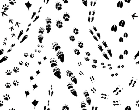 Seamless illustration of fotsteps of following animals: bird, cat, chicken, deer, dog, duck, elk, bear, squirrel, rabbit, hare.のイラスト素材