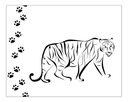black and white tiger illustration with footstepsのイラスト素材