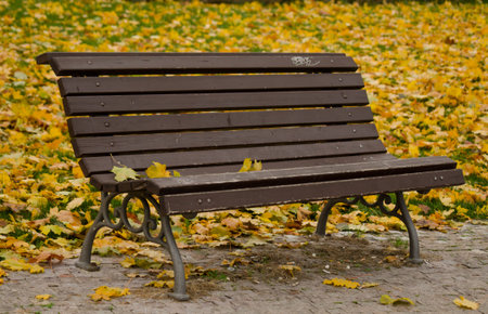 Lone bench in the autumn park on the yellow leafs backgroundの写真素材