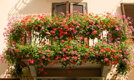 A balcony on the antic house with flowers in blossom, Italyの写真素材
