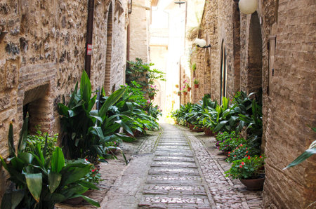 Medieval street of Spello decorated with plants and flowers. Umbria. Italyの写真素材