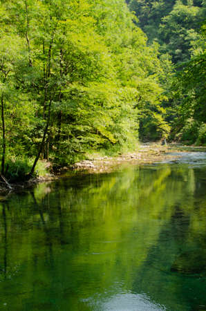 forest reflection in Radovna river in Vintgar Gorgeの写真素材