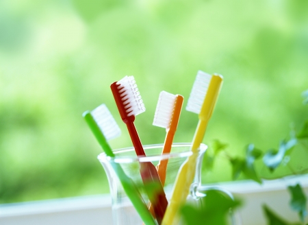 Four toothbrushes の写真素材