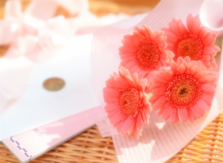 letter and bouquetの写真素材