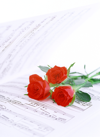 music score and rosesの写真素材