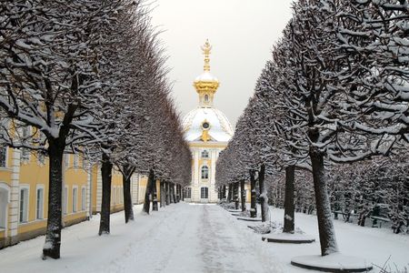 Winter's avenue in garden in Peterhof, St. Petersburg, Russiaの写真素材