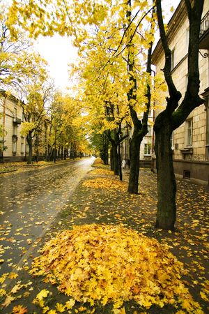 Autumn in town (Gatchina, Russia)の写真素材