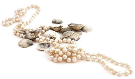 shells and pearls isolated against white backgroundの写真素材