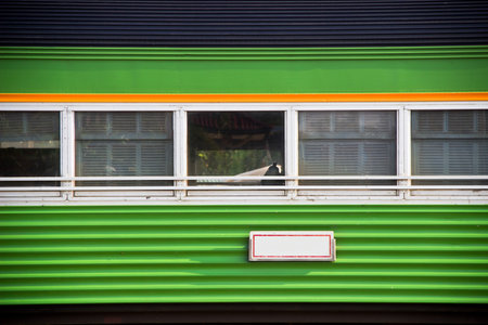 Vintage green train windows in sunny day