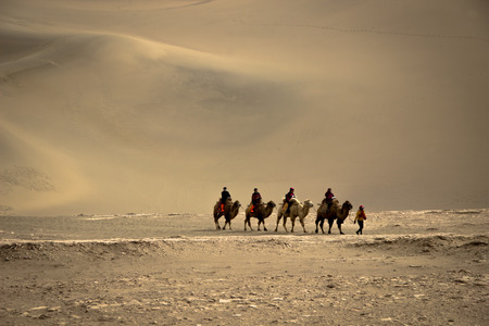 DUNHUANG,CHINA-MARCH 11: Group of tourists are riding camels in the mingsha shan desert, a part of silk road on March 11, 2016 in Dunhuang, China.のeditorial素材