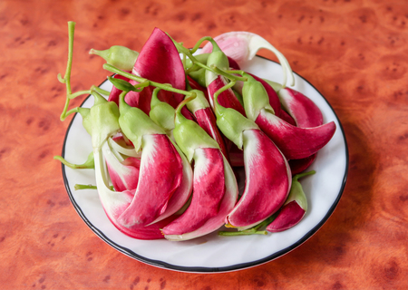 Agasta, Sesban,  Vegetable humming bird, Sesbania grandiflora on stone backgroundの写真素材