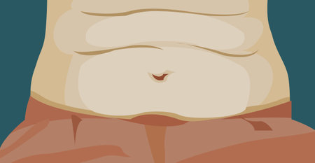Overweight woman big belly and fat chubby closeupのイラスト素材