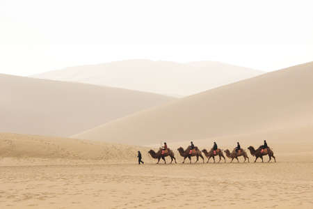 DUNHUANG,CHINA-MARCH 11 2016: Group of tourists are riding camel at the sand mountain Mingsha Shan desert or the singing sand dunes with the caravan as part of the Silk Road in Dunhuang, Gansu, China.のeditorial素材