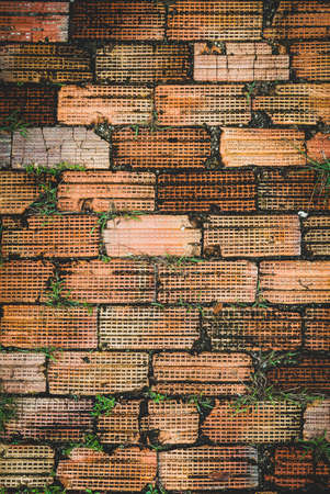 Grunge dirty brick floor with moss grass grows, background and texture for graphic designの写真素材