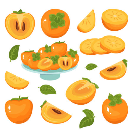 Persimmon icons set, whole fruit, half, slices, with and without seeds. Berries, fruits in a vase, sweet healthy food. Vector flat graphics for web, grocery vegetable storesのイラスト素材