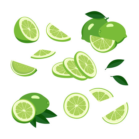 Lime icons set. Bright whole fruit, half, slices with leaves. Food for a healthy diet, dessert and lemonade. Elements for spring and summer design. Vector illustrationのイラスト素材