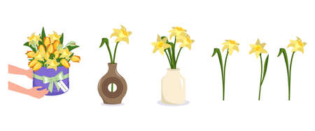 Hands hold a round box of flowers. Bouquet delivery. Daffodils in a vase. Set of spring and summer plants, vector decorationのイラスト素材