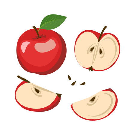 Red apple icons set. Whole fruits and halves with seeds and leaves. Food for a healthy diet. Sweet snack. Vector flat illustrationのイラスト素材