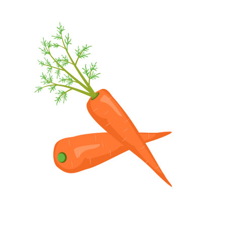 Carrot icon. Healthy food, orange vegetable. Source of vitamins A, sweet snack. An ingredient for lunch or dinner. Carrot root vegetable for planting in spring or summer. Vector flat illustrationのイラスト素材