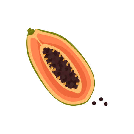 Papaya icon. Exotic fruit, half or wedge. Sweet food for a healthy diet, dessert, snack with seeds. Yellow fruit or vegetable. Elements for summer design. Source of vitamin C. Vector flat illustrationのイラスト素材