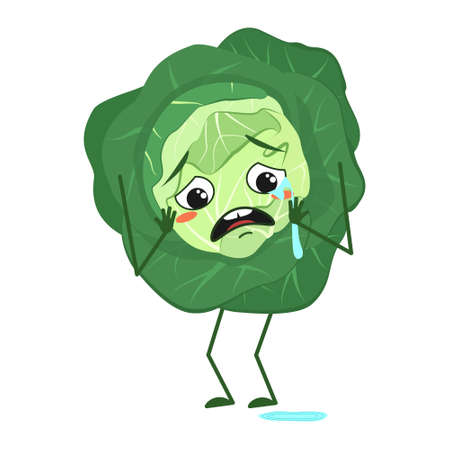 Cute cabbage character with crying and tears emotions, face, arms and legs. The funny or sad food hero, vegetable. Vector flat illustrationのイラスト素材