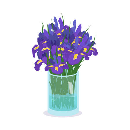Cute spring and summer flowers in a transparent glass blue vase. A bouquet of purple irises as a gift. Interior Design. Plant shop. Vector illustrationのイラスト素材