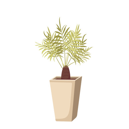 Indoor plant in a pot. Green leaves of a date palm. Interior flower. Vector illustrationのイラスト素材