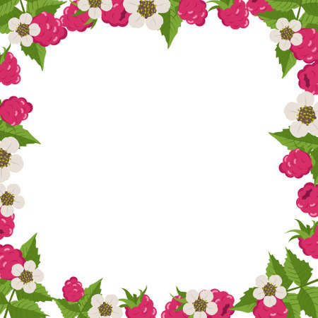 Frame with raspberries, leaves and white flowers on a white background. Bright berry square pattern. Summer food bannerのイラスト素材