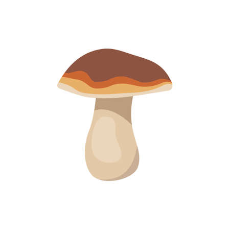 Mushroom icon. Healthy wholesome food, forest plantのイラスト素材