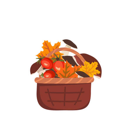 Basket with mushrooms, maple leaves and rose hips. Autumn harvest in the forestのイラスト素材
