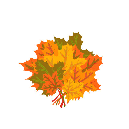 Bouquet of multicoloured maple leaves. Autumn items for decorationのイラスト素材