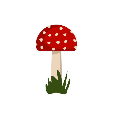 Amanita mushrooms with red caps and white spots.のイラスト素材