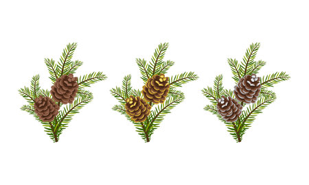 Set of green Christmas fir branches with silver and gold cones with sparkles. Festive interior decoration for new year, element for design Christmas wreath on door. Vector flat illustrationのイラスト素材