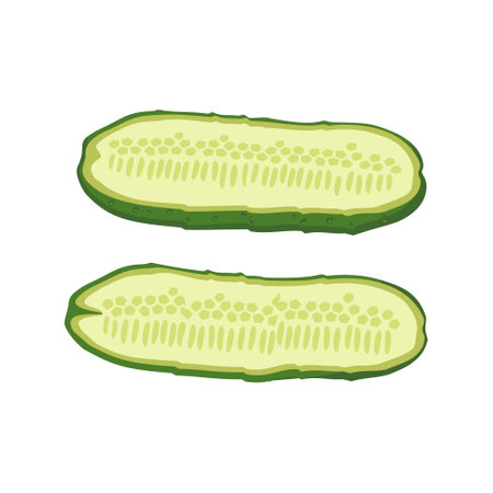 Green cucumber cut into pieces. Delicious healthy vegetable, fresh food for salad preparation, harvest. Vector flat illustrationのイラスト素材