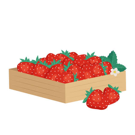 Box with ripe red strawberries. Sweet delicious food and healthy dessert. Natural product suitable for vegetarians. Source of vitamins and allergies. Vector flat illustrationのイラスト素材