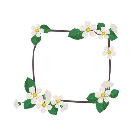 Square wreath of cherry or apple. Frame with white flowers. Spring blooming composition with buds and leaves. Festive decoration for wedding, holiday, postcard and design. Vector flat illustrationのイラスト素材