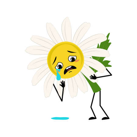 Chamomile character with crying and tears emotion, sad face, depressive eyes, arms and legs. Person with melancholy expression, daisy flower. Vector flat illustrationのイラスト素材