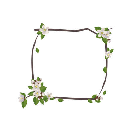 Square wreath of cherry or apple flowers. Frame with white flowers. Spring blooming composition with buds and leaves. Festive decoration for wedding, holiday, postcard and design. Vector illustrationのイラスト素材