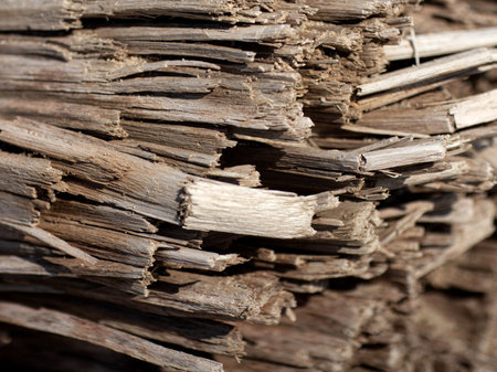 Dry wood frame texture