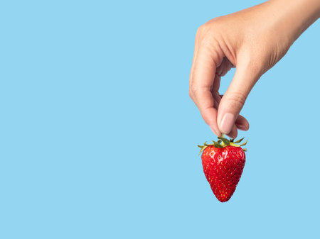 ripe strawberry in hand blue background copy spaceの写真素材