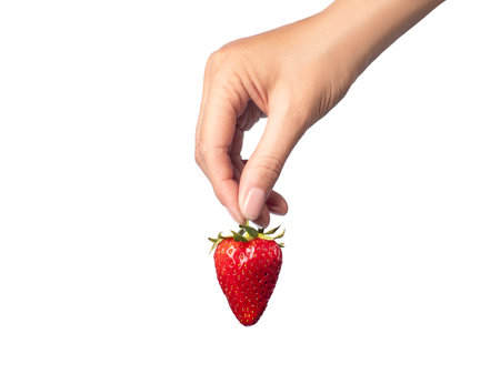 ripe strawberry in hand white backgroundの写真素材