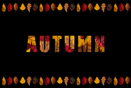 The word autumn made from leaves and herbs on a black background. Autumn banner.の写真素材