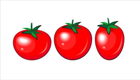 Red tomato vector illustration, different shapeのイラスト素材